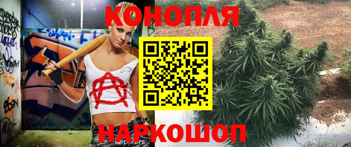 Каннабис план Воткинск